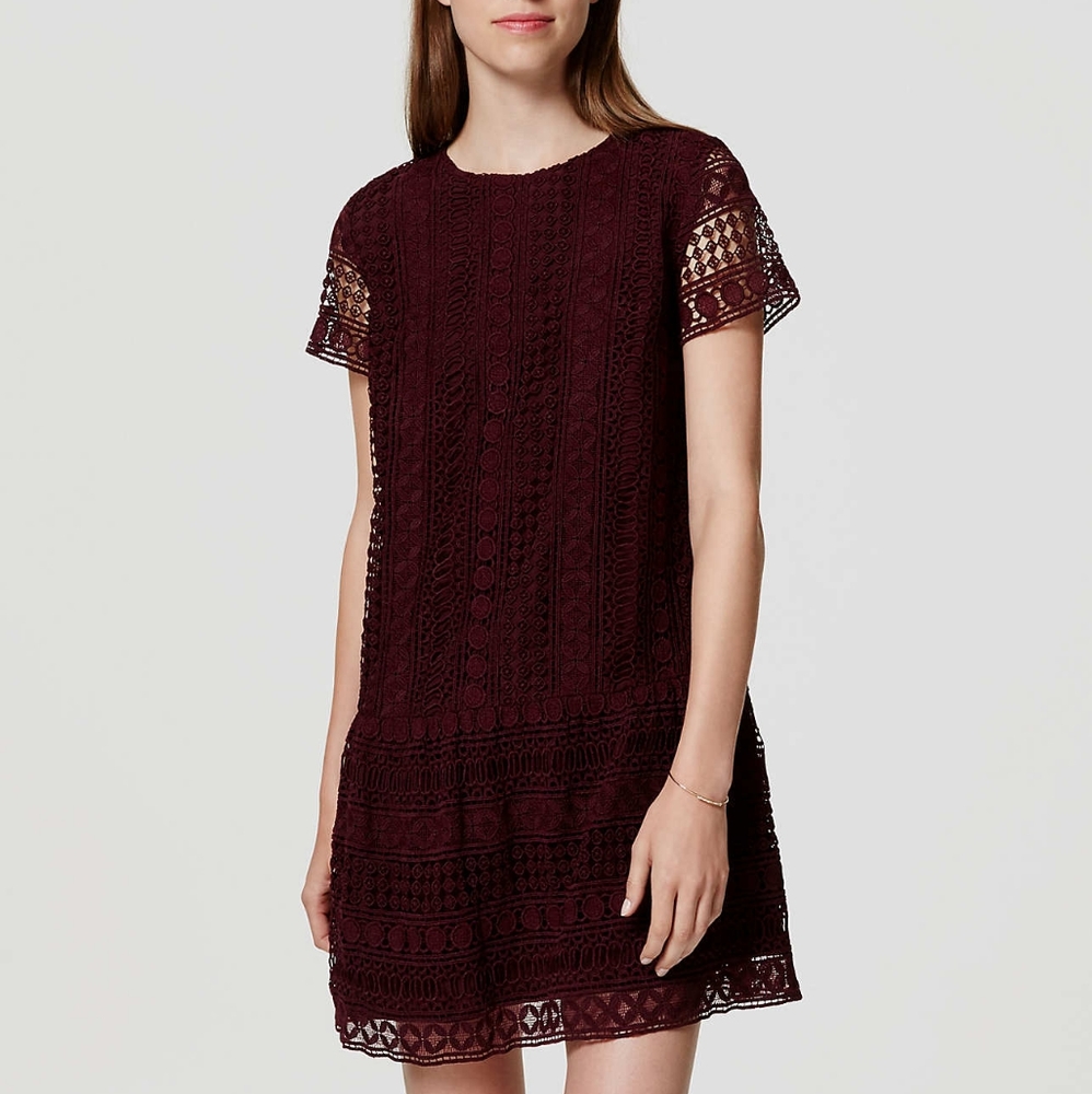 LOFT Lace Drop Waist Dress